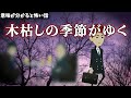 意味が分かると怖い話「木枯しの季節がゆく」アニメ