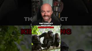 Shipwreck Survivors Epic 18 Month Ordeal & The Chimp Civil War!