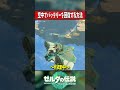 空中で翼に乗りながらバッテリー回復!?『ゼルダの伝説ティアーズオブザキングダム』 #shots