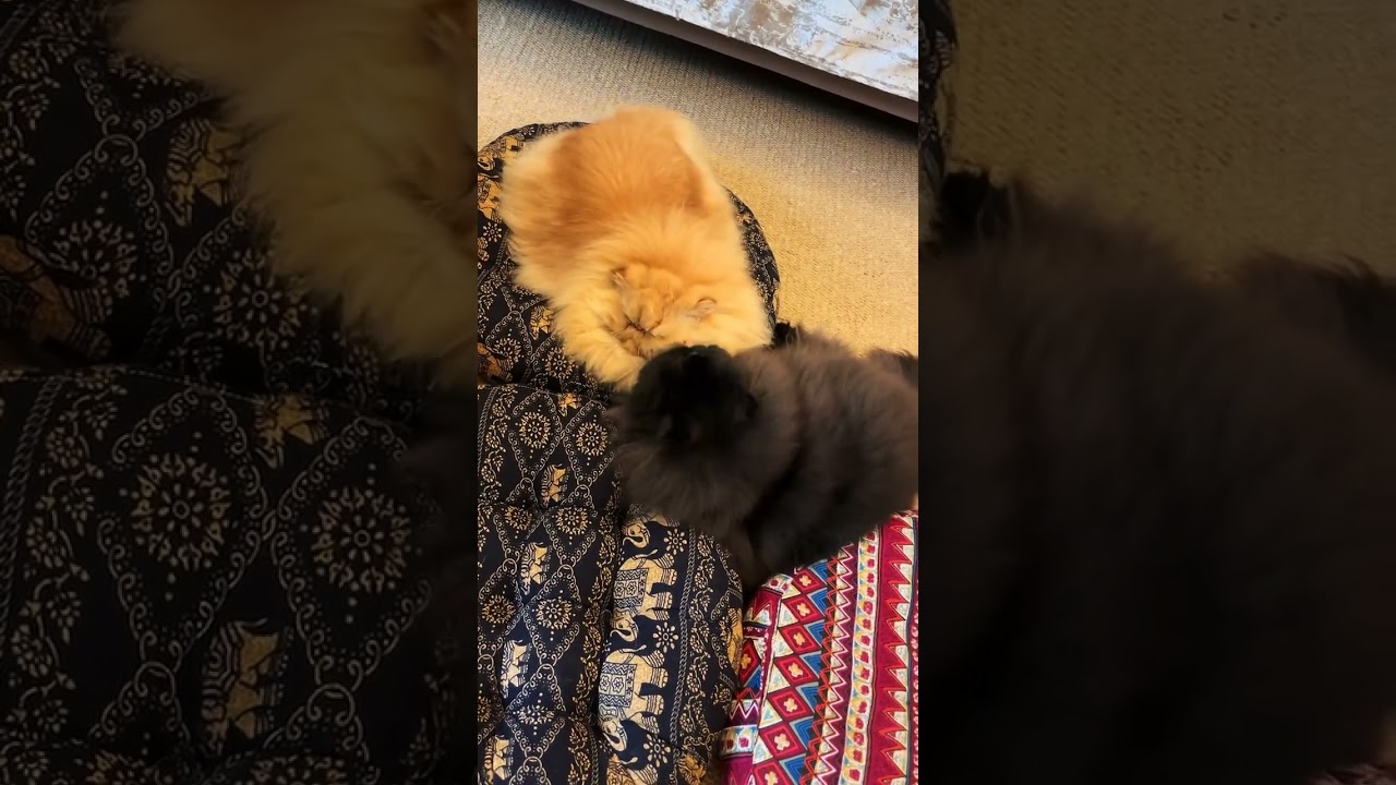 You look so delicious...