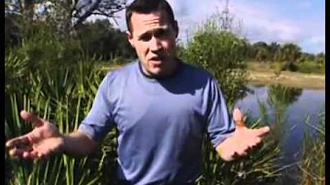 The Jeff Corwin Experience: Florida Part 2