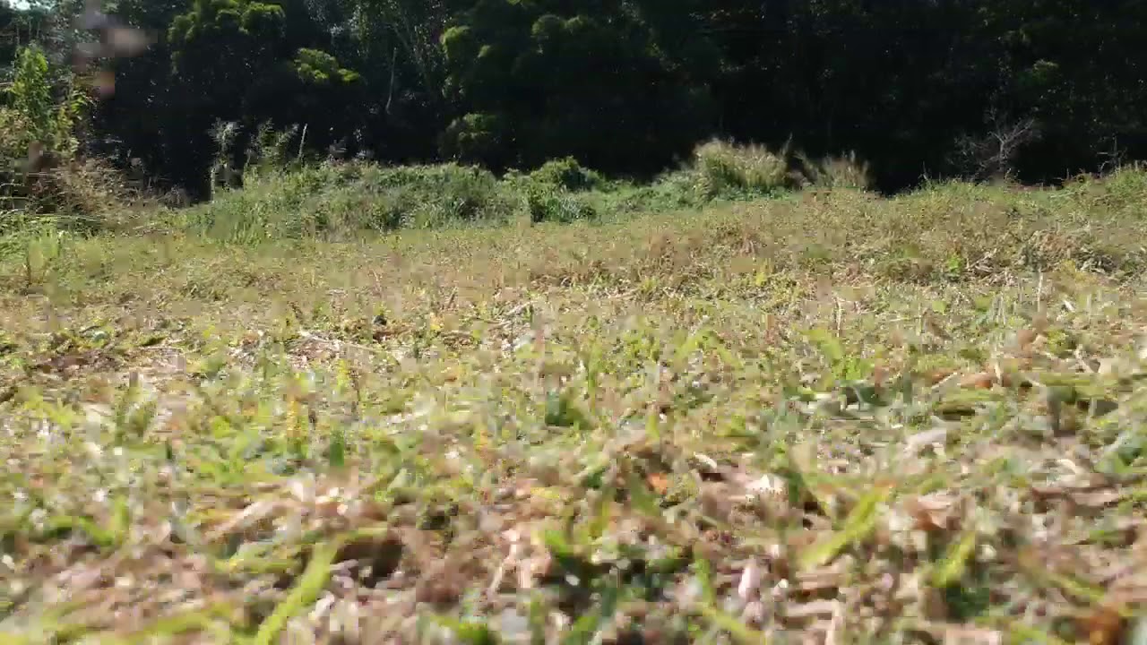 direct footage from DJI Spark Hop