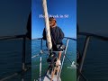 Sailing in SF/ Fleet Week 2021 #sanfrancisco #giants #foryou #fyp  #sailing #goldengate #whiteclaw