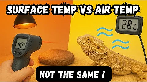 The BIG Temperature Mistake Reptile Keepers Make 😬