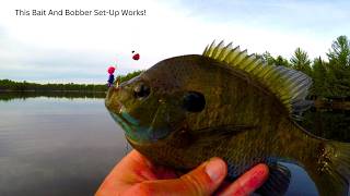How I Catch TONS Of BIG Bluegills With Bobbers And Plastic Lures… (And You Can To)