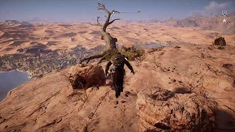 Jumping from Highest Point in Assassin