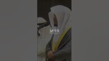 سورة الأنعام بصوت القارئ الشيخ ياسر الدوسري 🤍