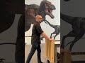There's a new dinosaur (model) at the Museum! Meet Microraptor gui. Since 2005, Museum Preparator