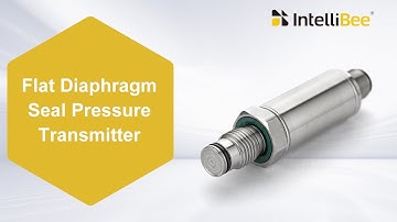 Flat Diaphragm Seal Pressure Transmitter, Chemical and Paper Industry Pressure Sensor - IntelliBee