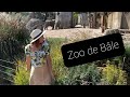 Швейцарский VLOG . Зоопарк в Базеле. Zoo de Bâle.