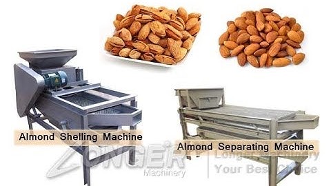 Almond Badam Cracking and Shelling machine|Nut Cracker Machine|Hazelnut Cracking Machine
