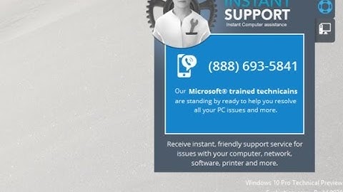 Remove Instant Support program