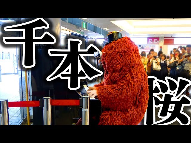 ピアノ♫様 リクエスト 2点 まとめ商品 kent⭐️様 リクエスト 2点 まとめ商品 - メルカリ