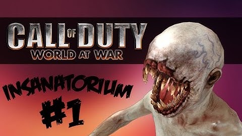 Insanatorium #1 (Call of Duty: WaW Zombies)