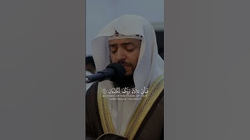 مَرَجَ الْبَحْرَيْنِ يَلْتَقِيَانِ - القارئ وديع اليمني