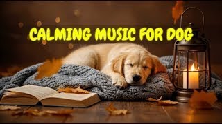 Dog Music for Anxiety Relief 🐾🎵 | 12 HOURS of Sleep Aid for Restless Dogs Left Alone at Home