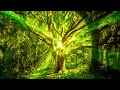  174hz  meditative  forest    grounding  safety    pain relief    nature sounds music