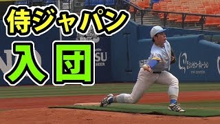 大学日本代表！シンカーの変化量がエグいサイドスロー投手が入団【侍ジャパン】