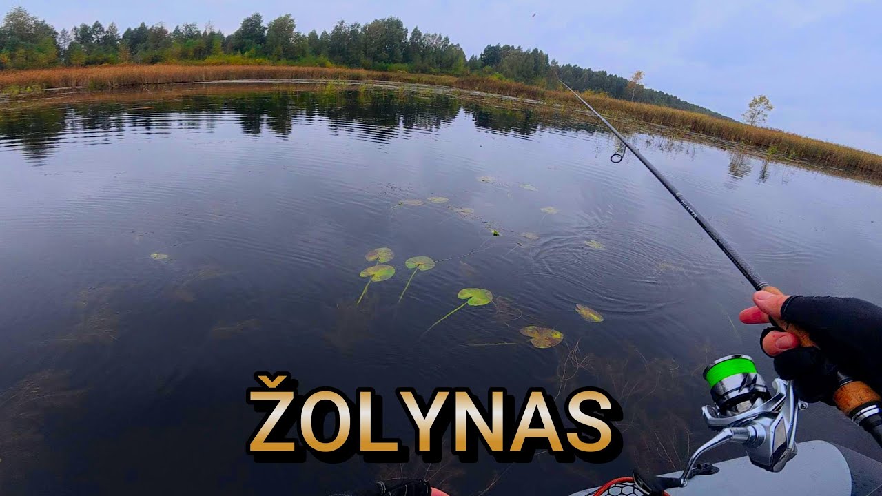 Mečiau masalą tiesiai į žoles ir jos ten kibo! Lydekų žūklė žolėse. Išbandžiau naujus voblerius.