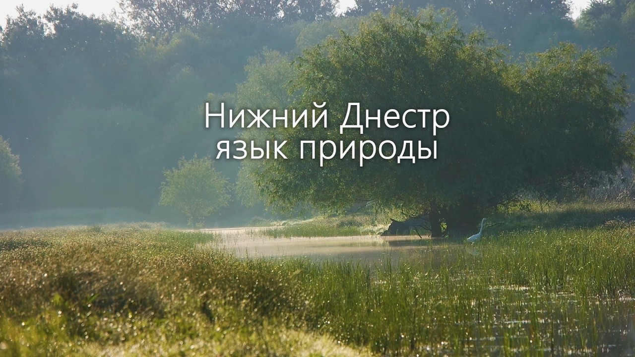 Нижний Днестр язык природы