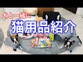 愛犬と一緒に子猫のお迎え準備をしました！【購入品紹介】