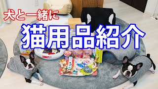 愛犬と一緒に子猫のお迎え準備をしました！【購入品紹介】