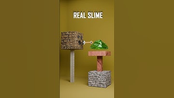 Real world vs Minecraft #blender #minecraft #blender3d  #animation #3dart