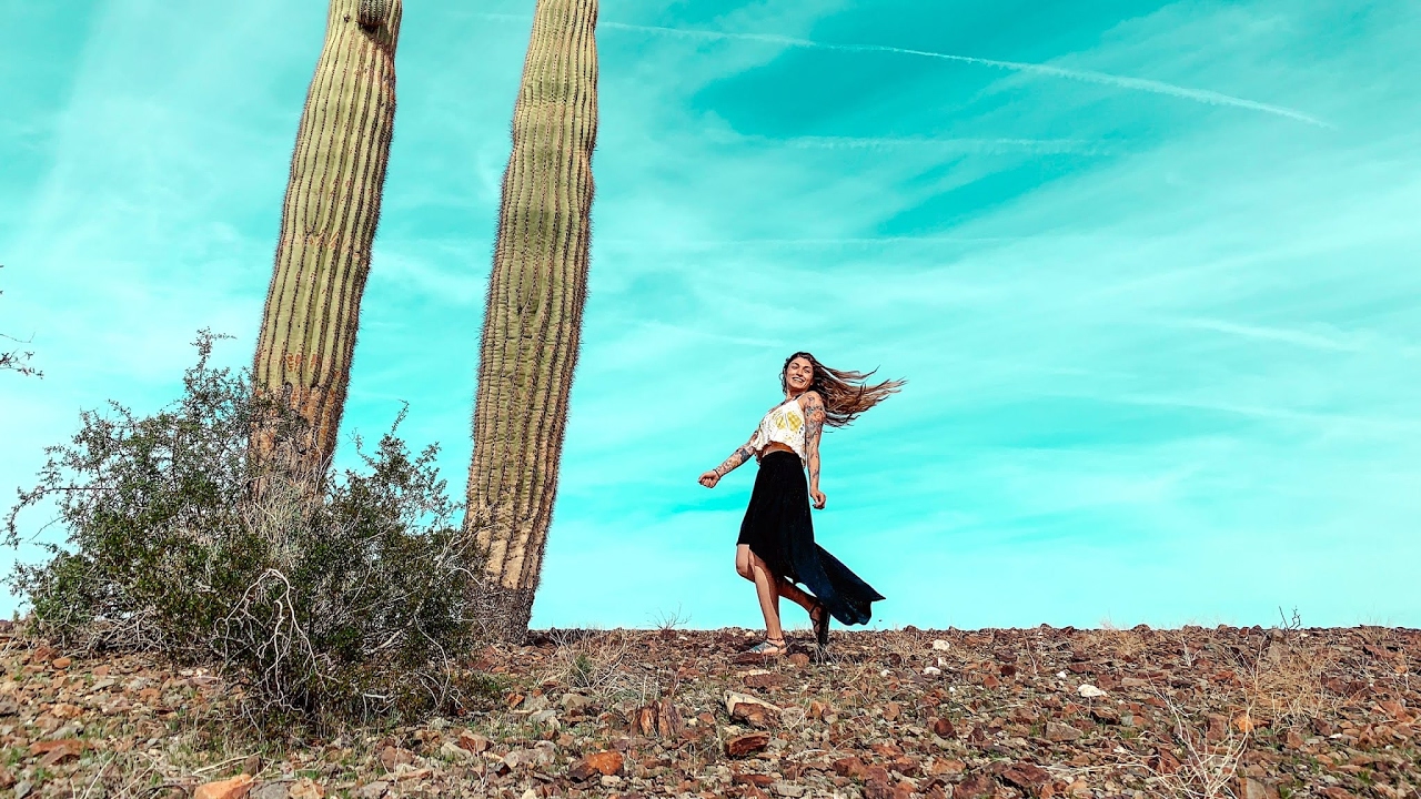 Art Van Grow Live Stream YouTube