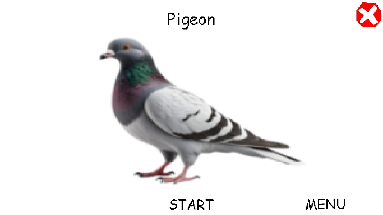 Baldi's Basics Pigeon!