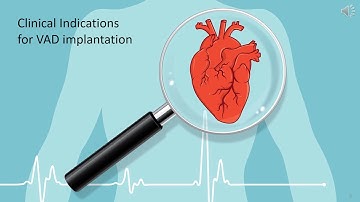 BIOE 6340 Presentation