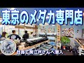 【めだか】東京にあるメダカ屋さんは有名ブリーダーさんのメダカが購入できる専門店だった（とても珍しいメダカ専門店のご紹介）