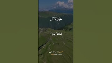 تلاوه خاشعه جدا القارئ الشيخ ياسر الدوسري سورة النمل #القرآن_الكريم