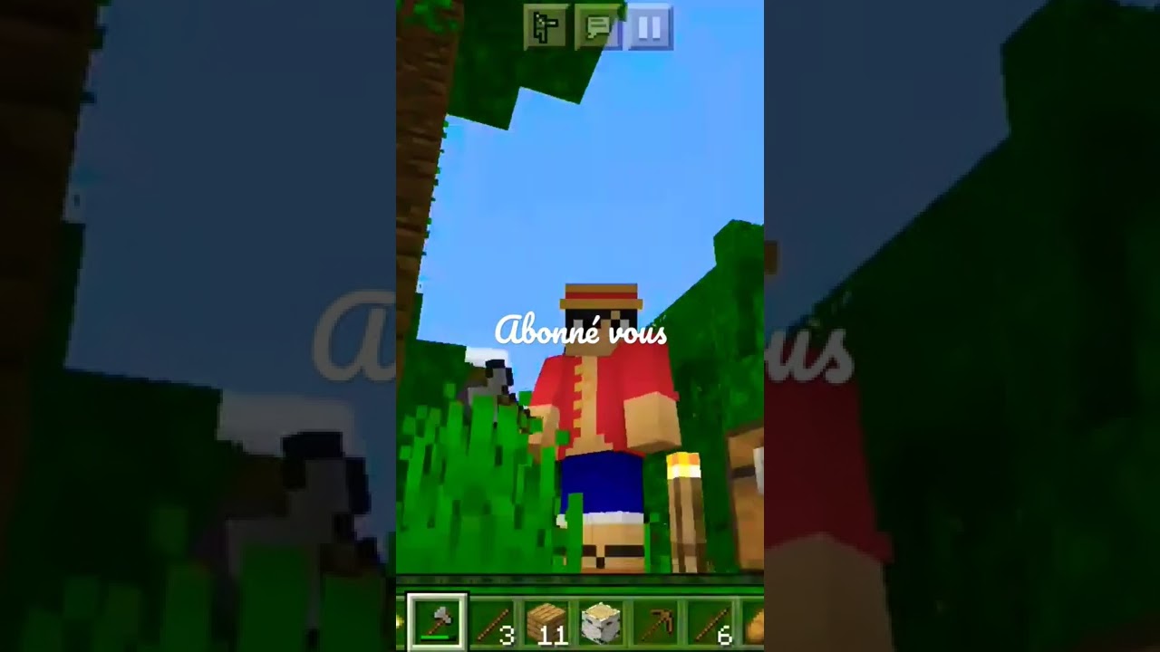 Mon nouveau skin MINECRAFT ( chapeau de paille ) 😁 - YouTube