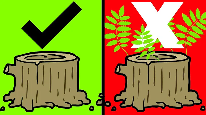 How To Kill A Tree Stump [THE BEST WAY]