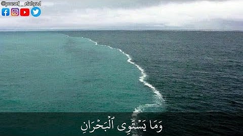 ﴿ وما يستوي البحران هذا عذب فرات سآئغ شرابه وهذا ملح ﴾ سورة فاطر الآيه 12 / القارئ محمود الشحات