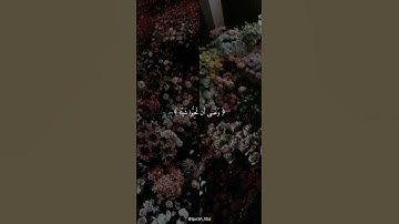 وعسى ان تكرهوا شيئا وهو خير لكم | سورة البقرة | أحمد العجمي 🤍