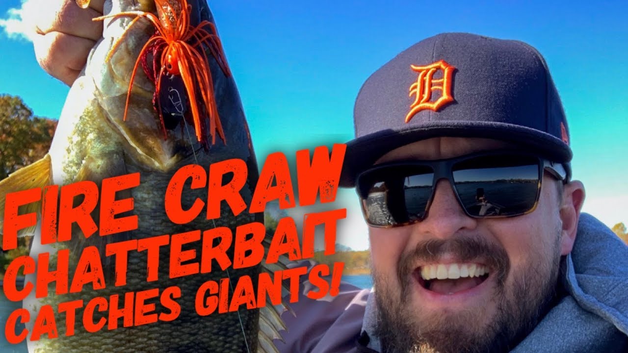 The Fire Craw Chatterbait catches GIANT BASS! Jack Hammer Chatterbait
