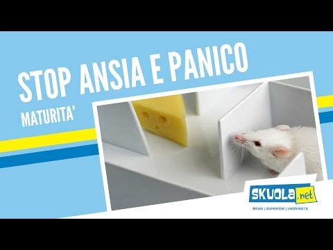 Maturità 2018, terza prova: come ripassare in poco tempo