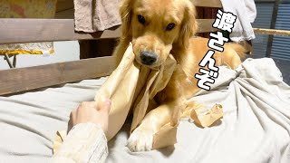 手に入れたおもちゃは例えママでも取られたくないジョイさん