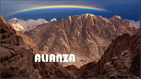 ¿Se mencionan las alianzas en la Biblia?