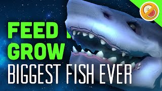 BIGGEST FISH EVER! | Feed and Grow Gameplay #1 (Funny Moments)