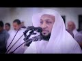 من اجمل التلاوات في صلاة التراويح للشيخ ياسر سلامة