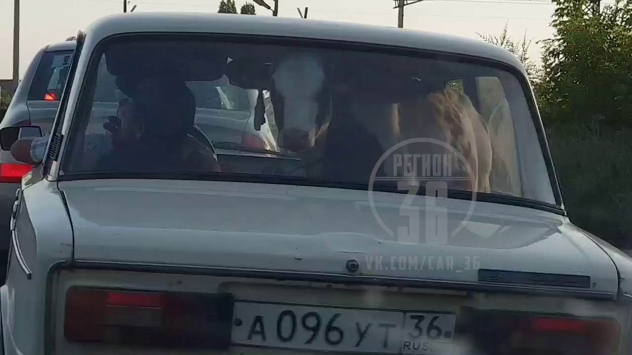 Ваз прошивка воронеж