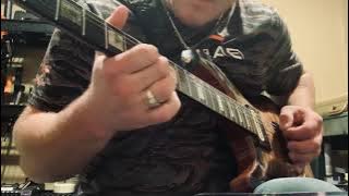 Stranger in my house as performed by Ronnie Milsap