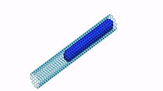 MD Simulation of CNT oscillators