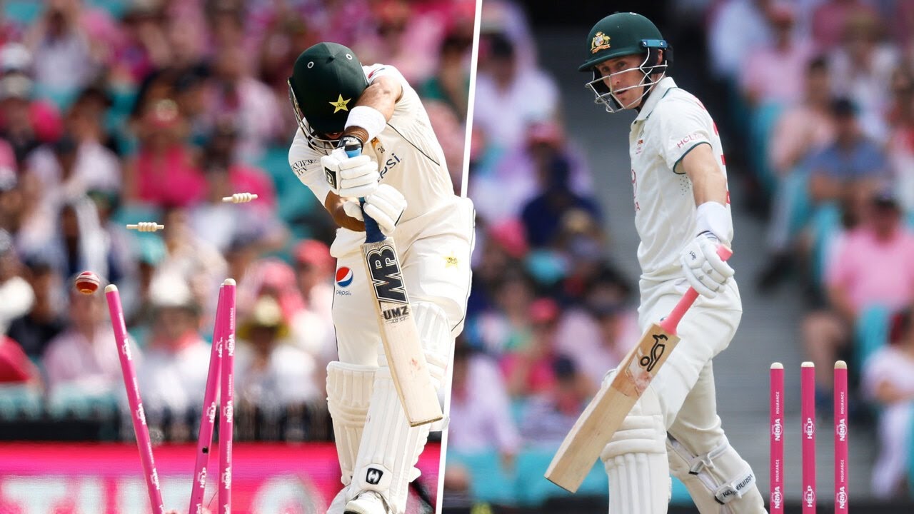 Best deliveries of the week, December 30-January 5 | Saturday Seeds