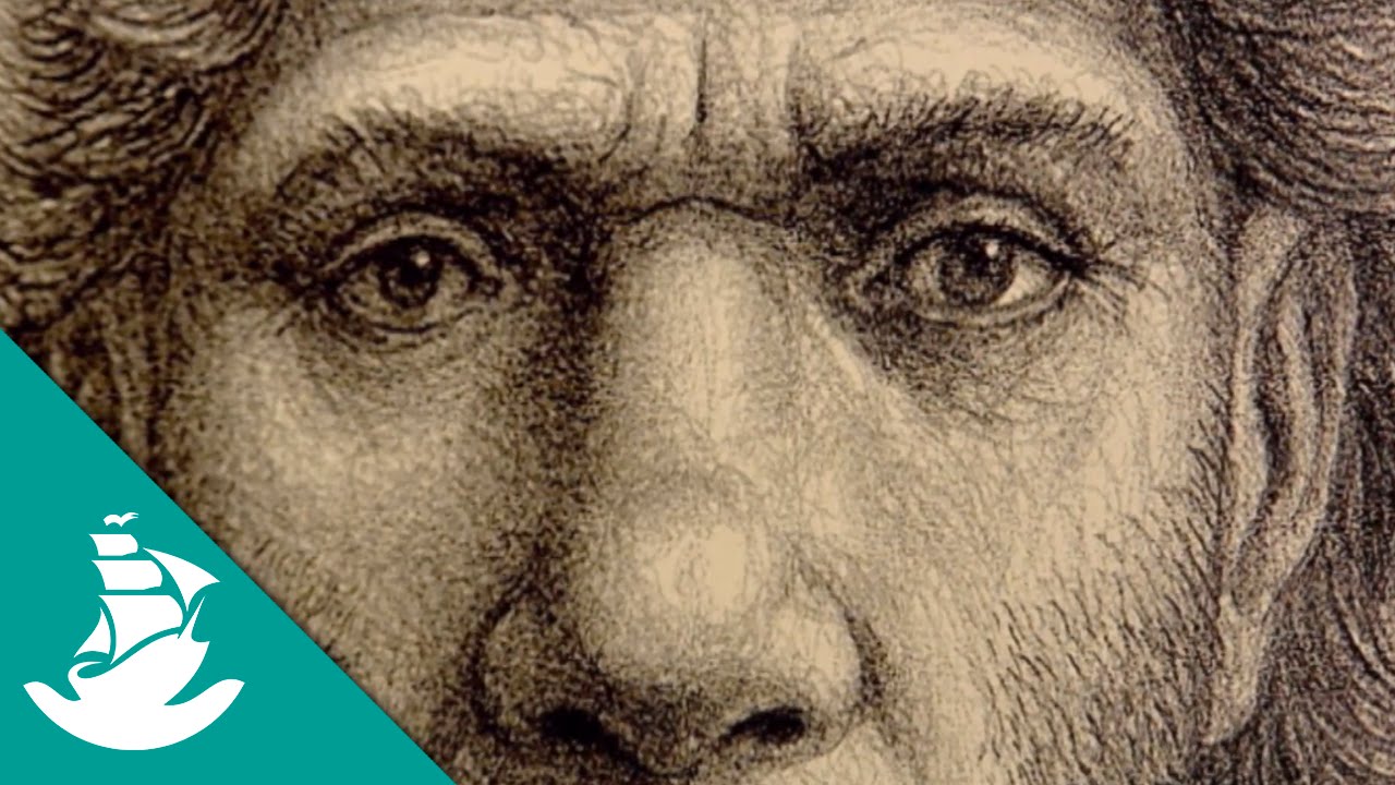 Resultado de imaxes para Humanos (Documental completo)