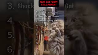 #rank #catshorts #funny #fails 2026