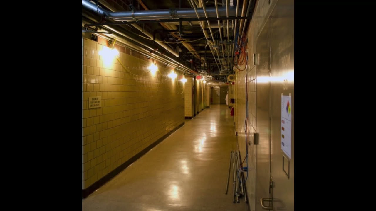 The Backrooms Decrypted: Electrical Station (Level 3)