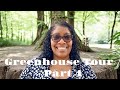 Greenhouse Tour Part 4 | Starter Plants, Propagations &amp; Oddballs!